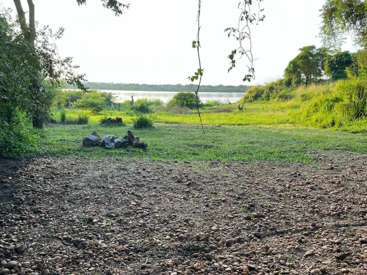 Murchison Giraffe Camp Paraa Ngoại thất bức ảnh