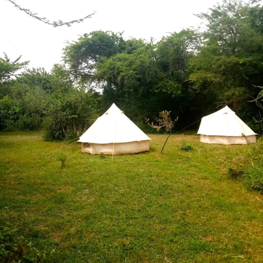 Murchison Giraffe Camp Paraa Ngoại thất bức ảnh